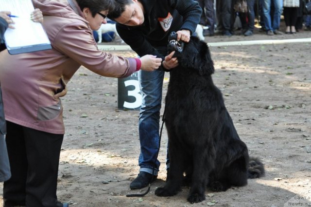 Фотография № 77226