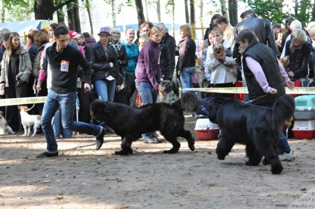 Фотография № 77227