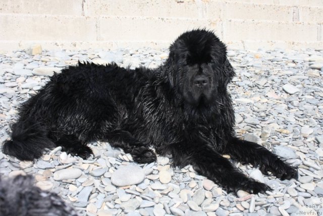 Фотография № 77245