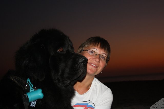 Фото: ньюфаундленд Глория Гранд Блек, Елена Кузьмина