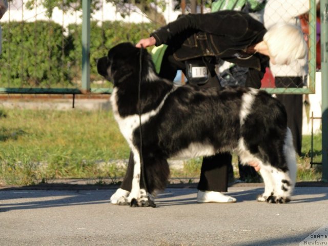 Фотография № 77292