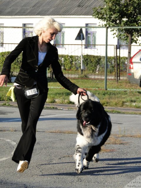 Фотография № 77293