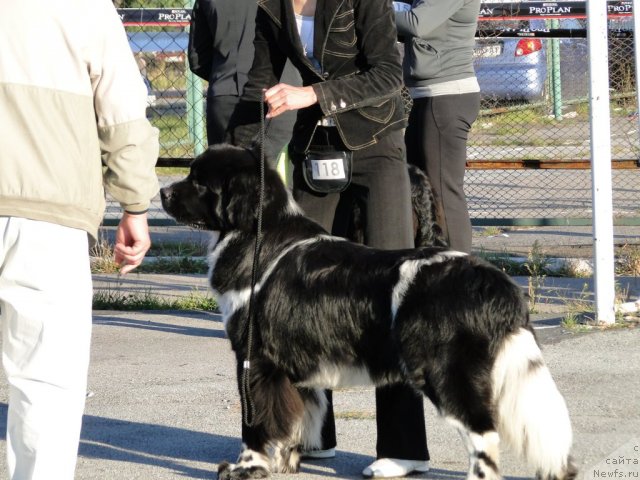 Фотография № 77294