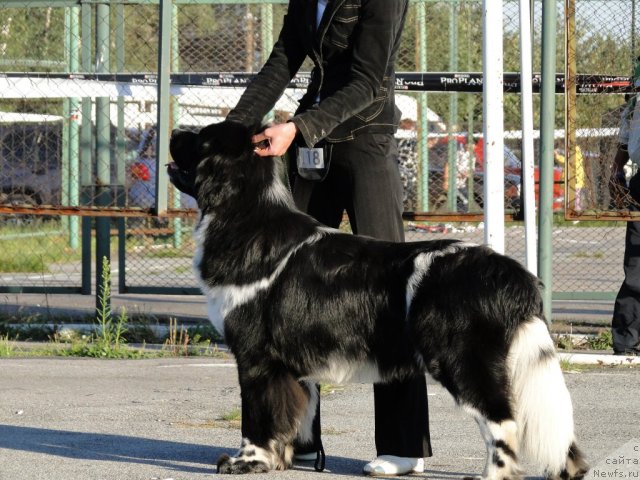 Фотография № 77295