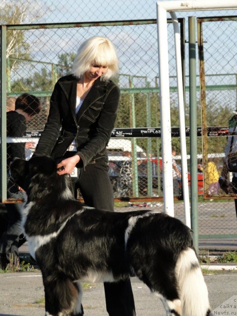 Фотография № 77296