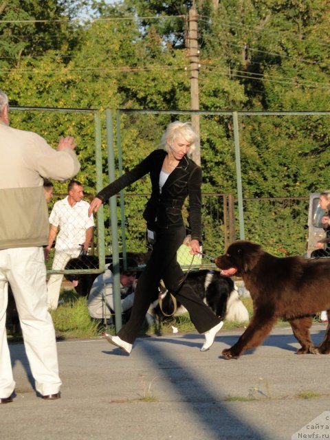 Фотография № 77300