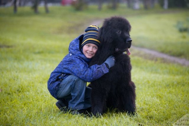 Фотография № 77320