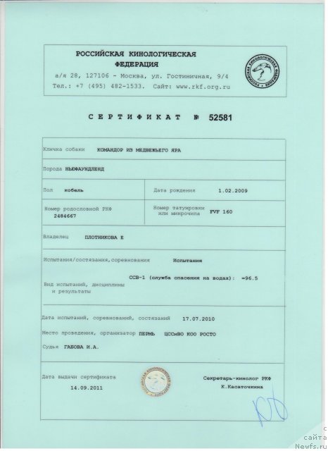 Фото: ньюфаундленд Командор из Медвежьего Яра