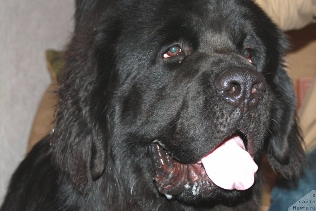 Фотография № 77346