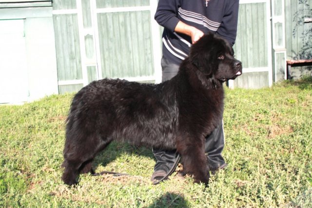 Фотография № 77349