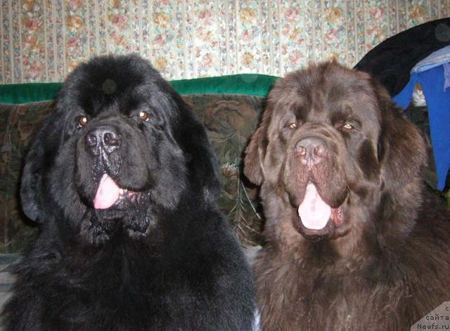 Фотография № 7736