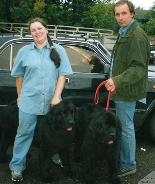 Фото: ньюфаундленд Берта (Berta), ньюфаундленд Bine-Bonita