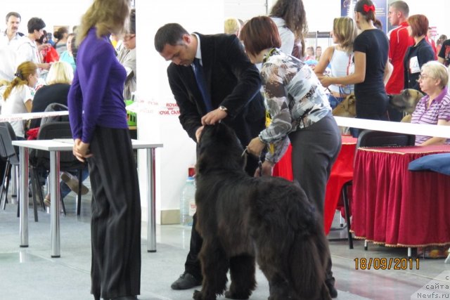 Фотография № 77449