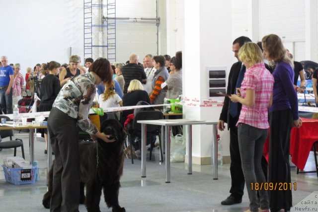 Фотография № 77450