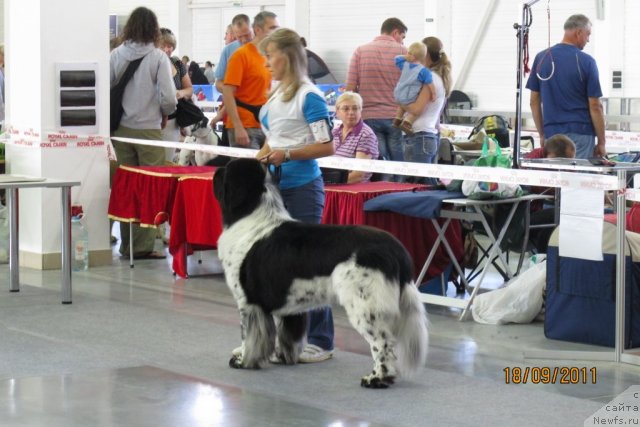 Фотография № 77451