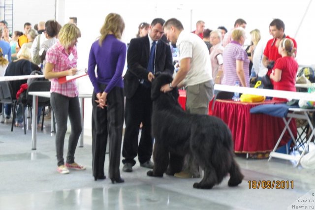 Фотография № 77454