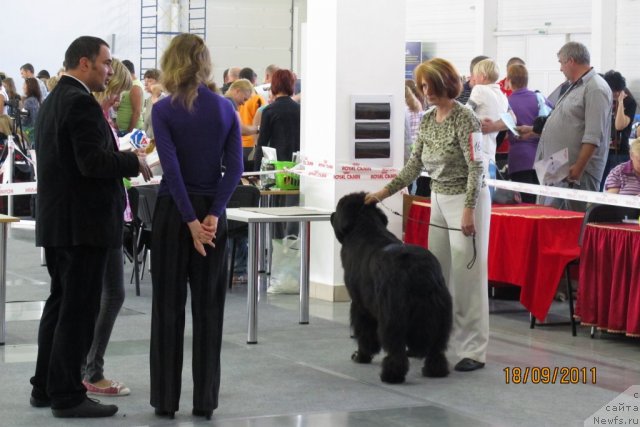 Фотография № 77456