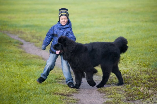 Фотография № 77510