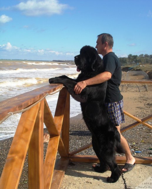 Фотография № 77521