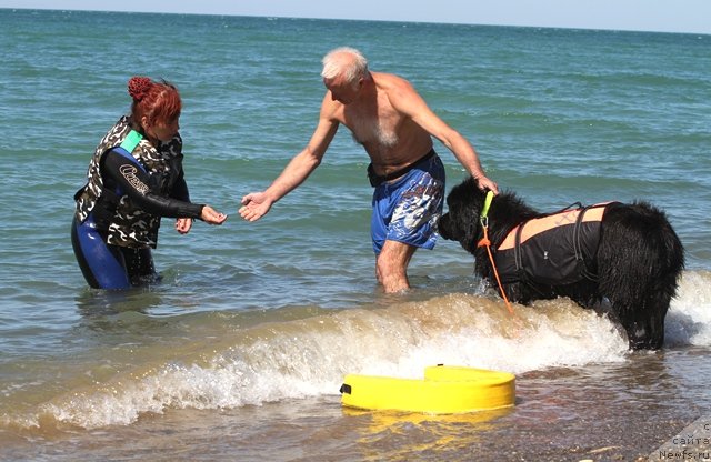 Фотография № 77554