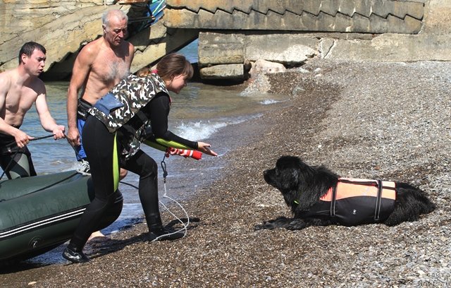 Фотография № 77555