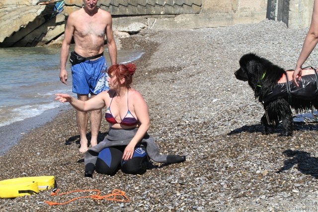 Фотография № 77556