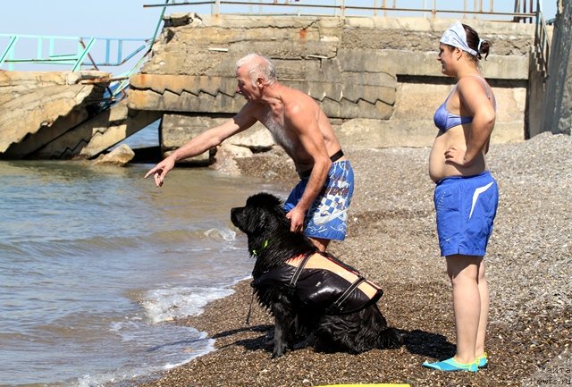 Фотография № 77557