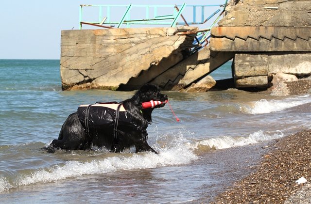 Фотография № 77558