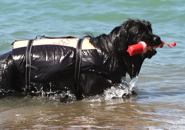 Фотография № 77559