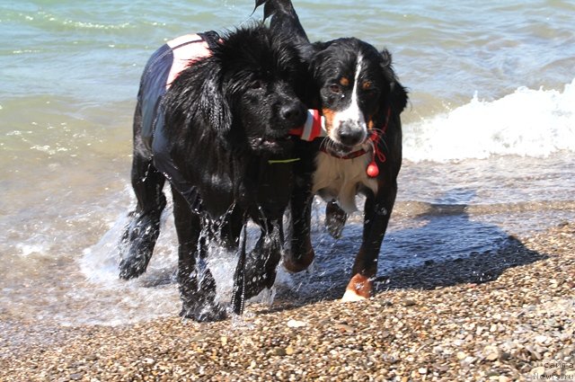 Фото: [d10434] и Эни