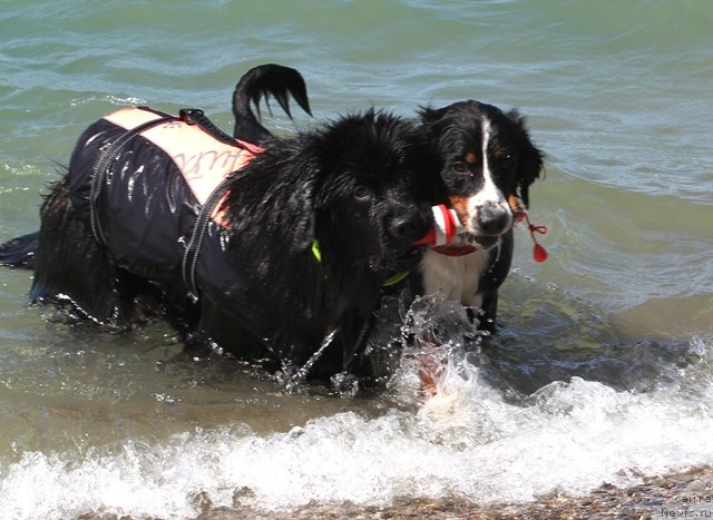 Фотография № 77563