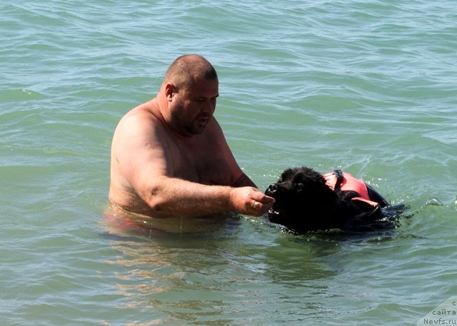 Фотография № 77564