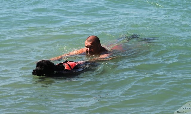 Фотография № 77565