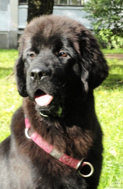 Фото: Бегущая по волнам Дабл Дэар