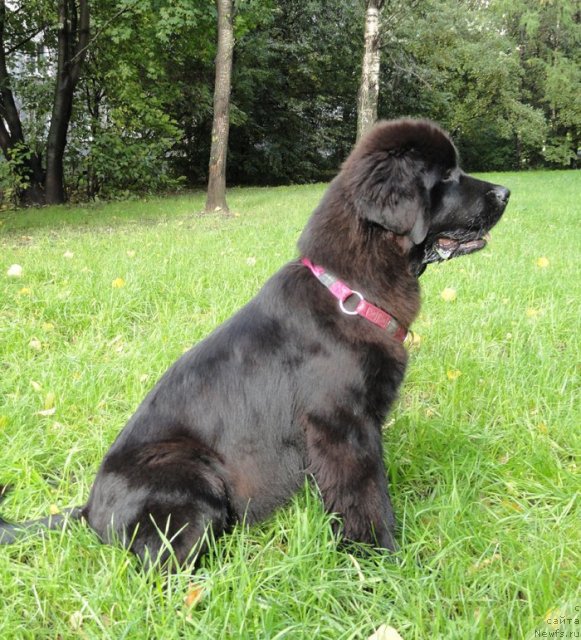 Фото: Бегущая по волнам Дабл Дэар