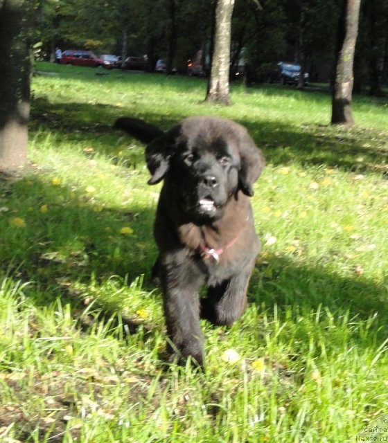 Фото: Бегущая по волнам Дабл Дэар