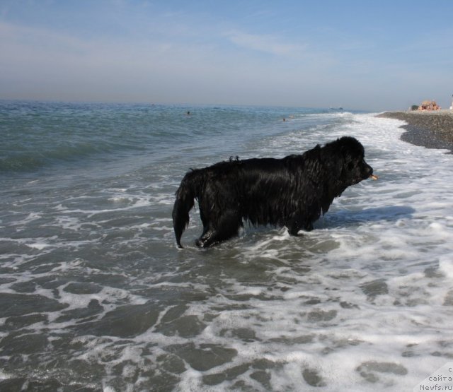 Фотография № 77641