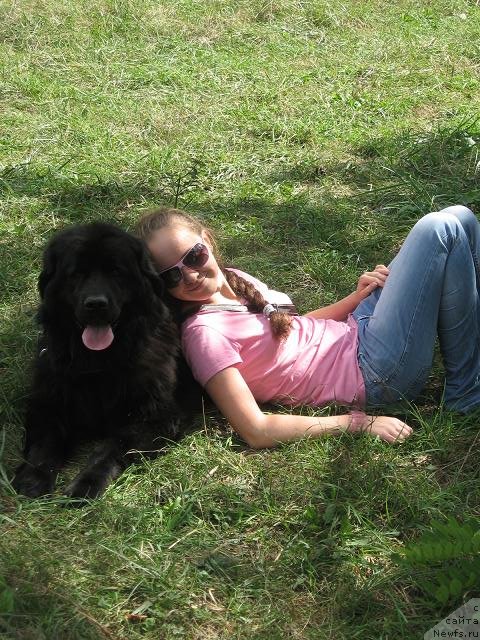 Фото: Дария Шевченко, ньюфаундленд Искрящаяся Радость с Берега Дона