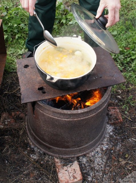 Фотография № 77646