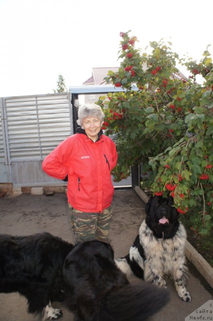 Фотография № 77660