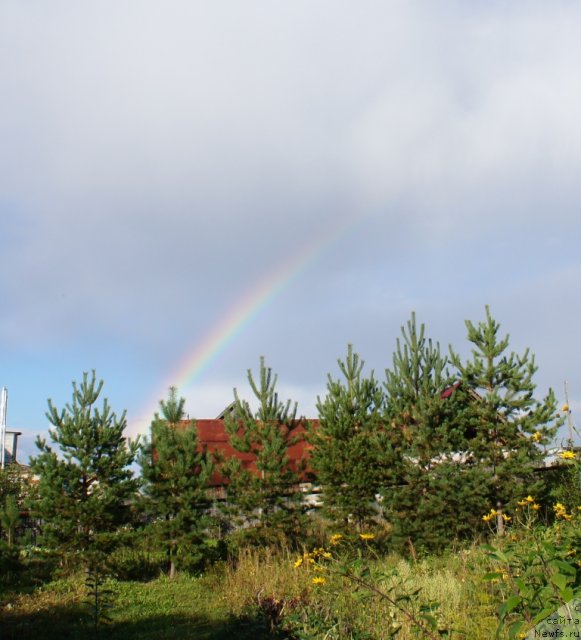 Фотография № 77662