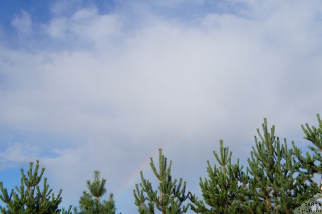 Фотография № 77663