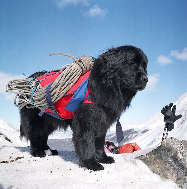 Фотография № 777