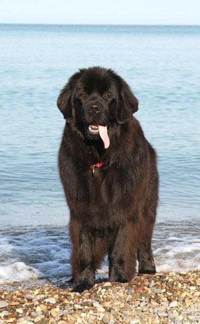 Фотография № 77721