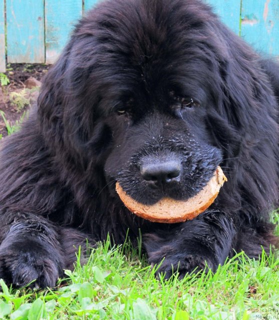 Фотография № 77812