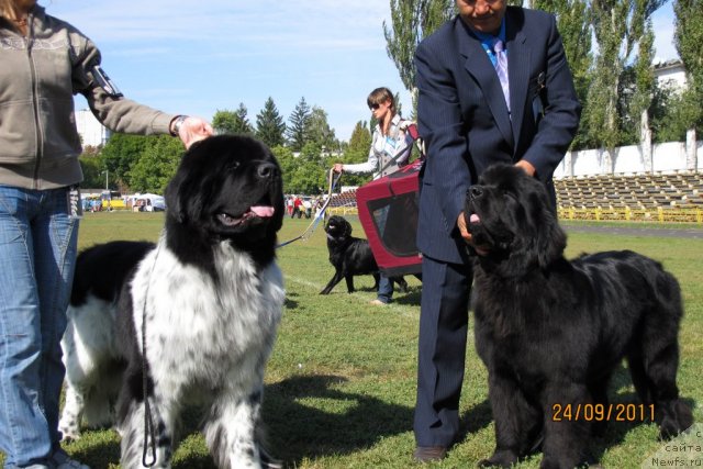 Фотография № 77817