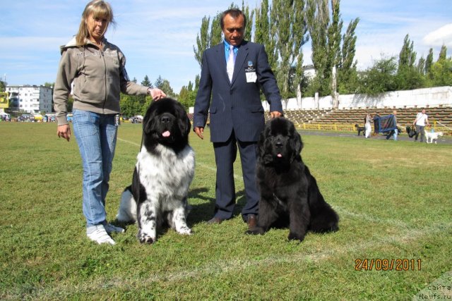 Фотография № 77818