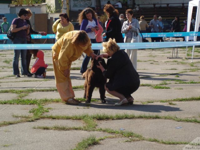 Фотография № 77841