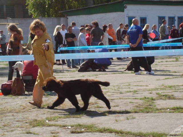 Фотография № 77842