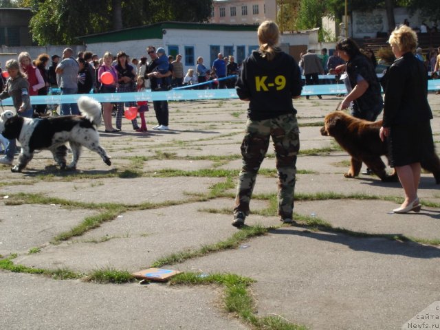 Фотография № 77849